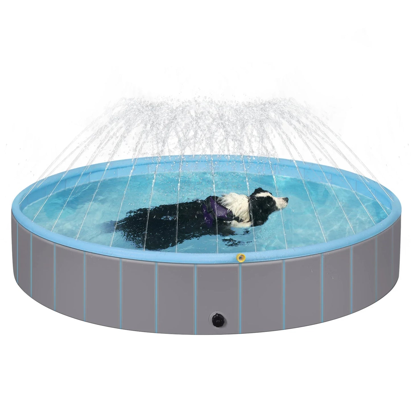 Swimming Pool For Dog With Splash Pad Splash Pad Dogs