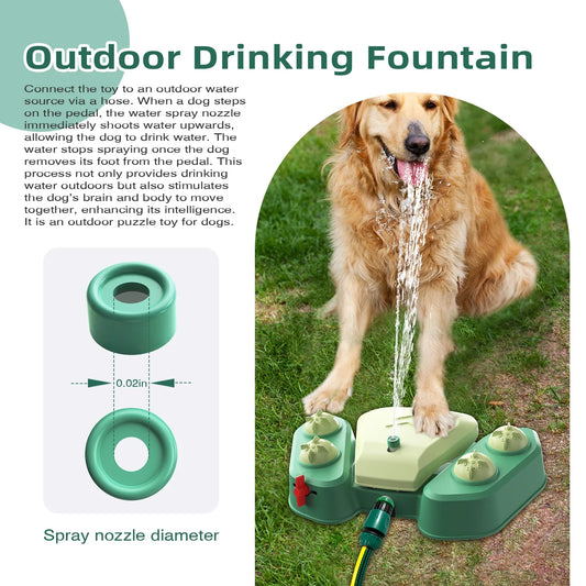 Water Sprinkler Playset For Dog Splash Pad Dogs